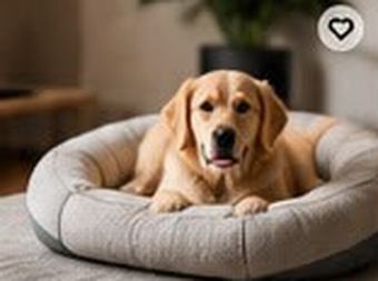 Orthopedic Pet Bed