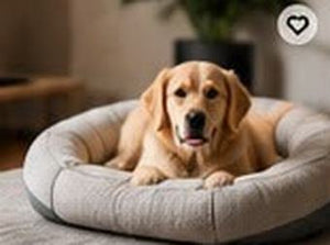 Orthopedic Pet Bed